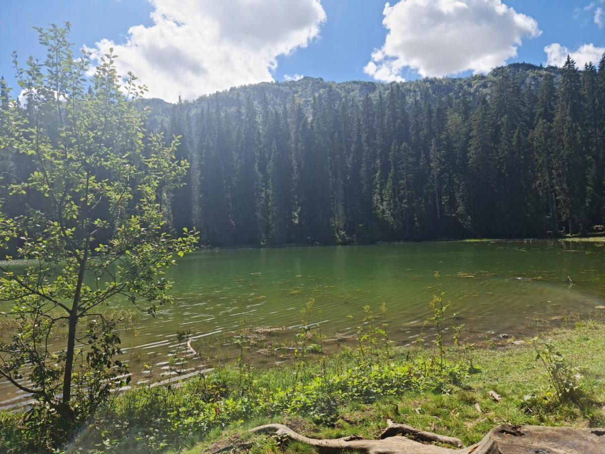 Holiday Home Mountain جابلياك المظهر الخارجي الصورة